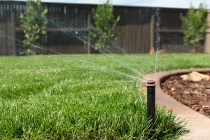 Effective Sprinkler Systems keep you lawn healthy year-round!