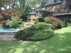 Yard after lawn care services in Little Rock, AR