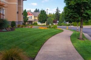 Front yard with beautiful lawn