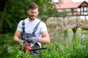 Professional Lawn Care Services