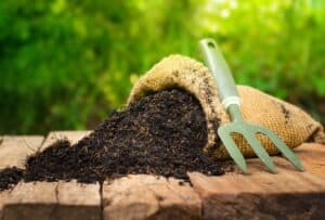 Organic fertilizers improve garden soil