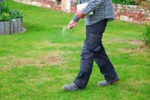 Lawn Expert applying fertilizer on lawn