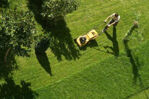 Using lawn mower for lawn treatments