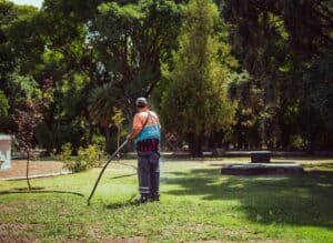 Experts for Optimal Lawn Irrigation
