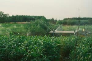 Main Types of Irrigation Systems