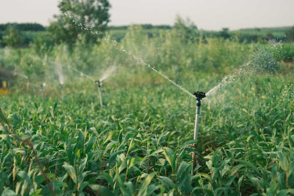 Type of Irrigation System