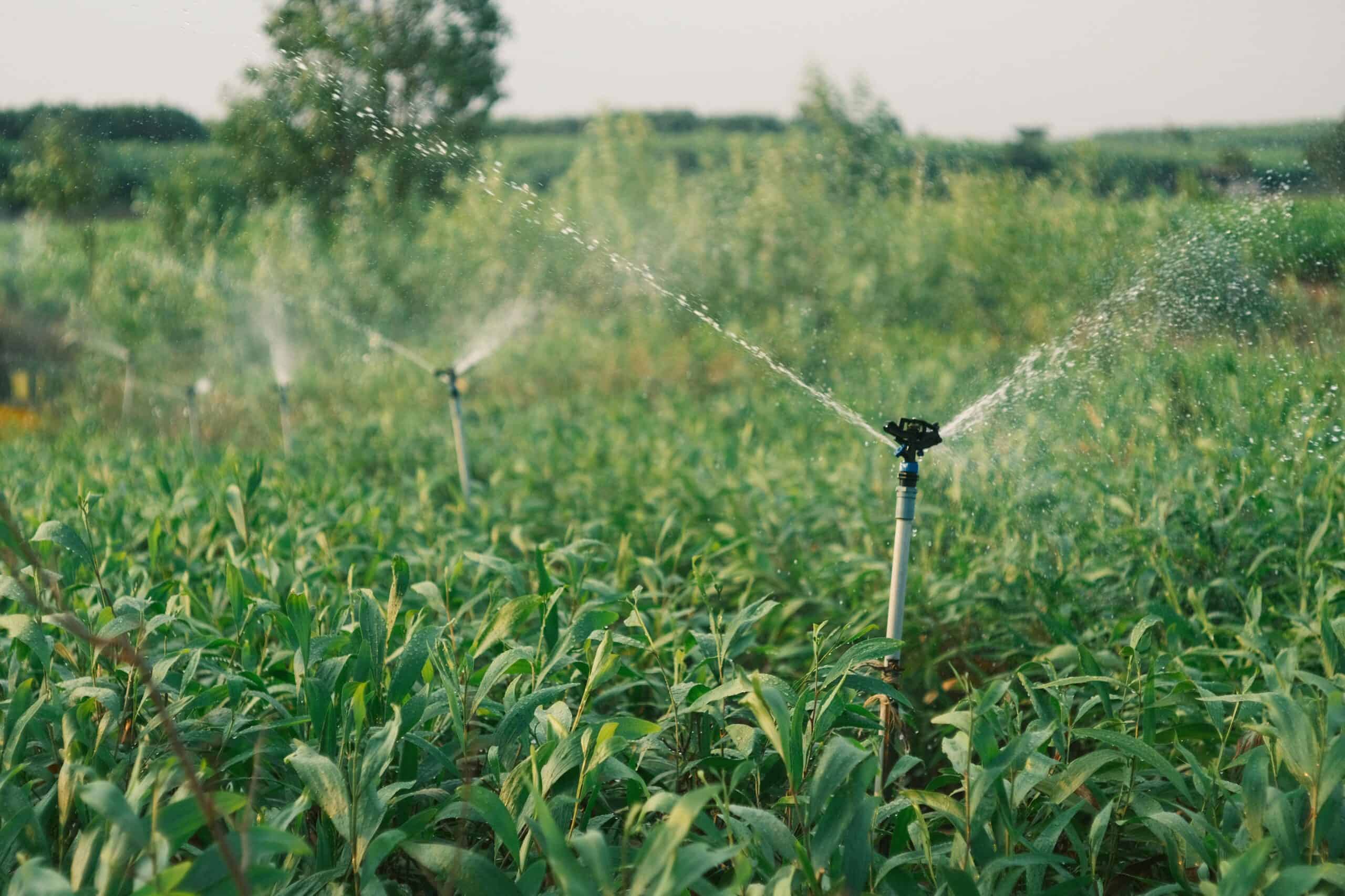 Type of Irrigation System