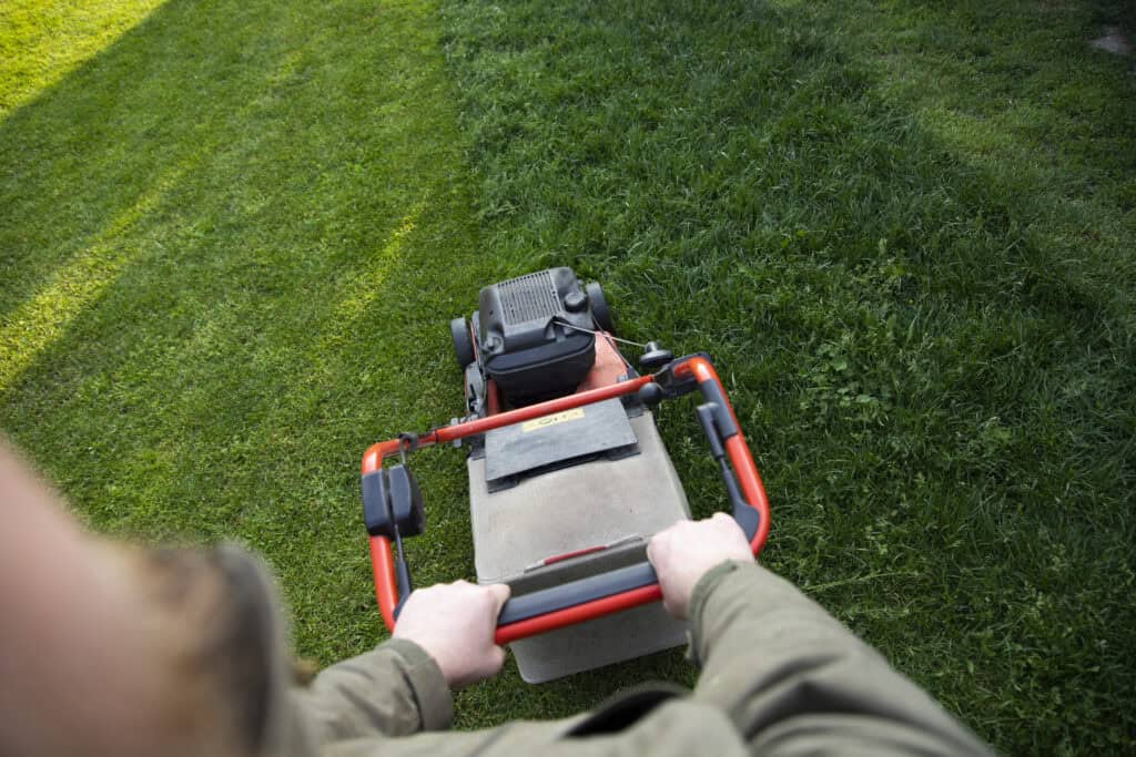 How Does Mowing Height Affect Lawn Pest Activity