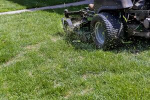 Mowing Height Influences Lawn Health