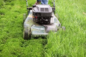 Mowing Height