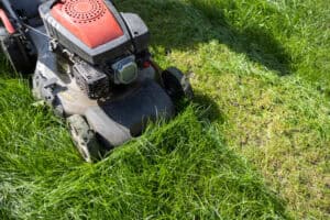 Mowing Height and Frequency