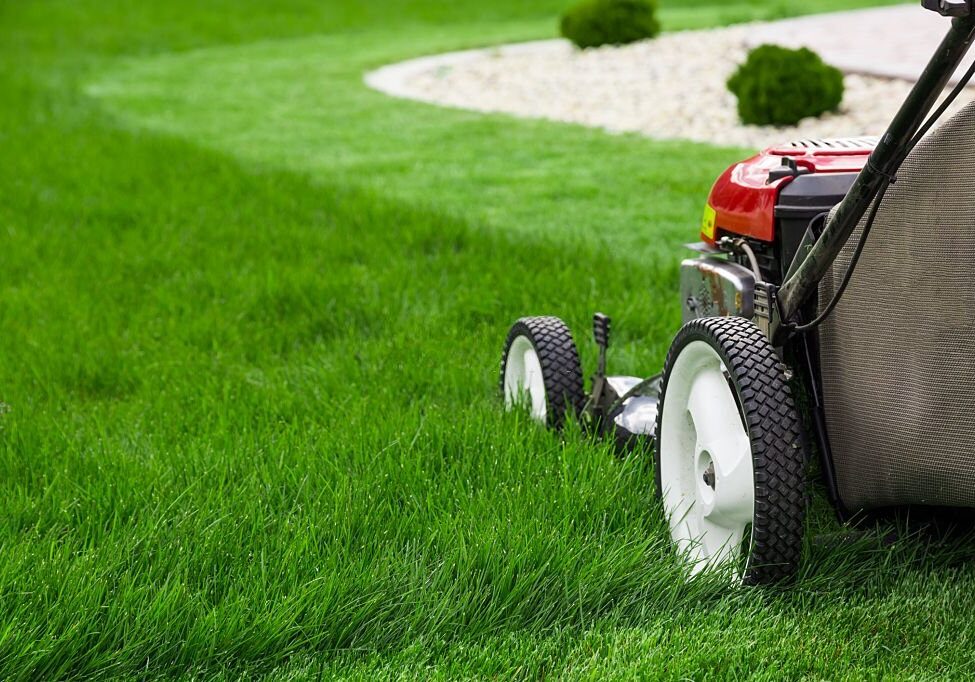 lawn mowing