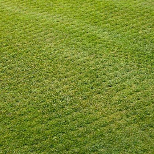 Lawn Aeration And Overseeding - Little Rock Lawns