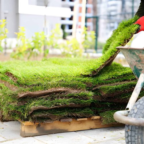 SOD - Little Rock Lawns