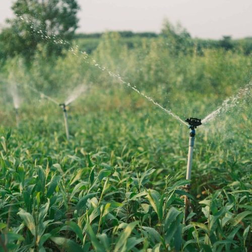 Type of Irrigation System